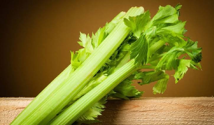 Pravi Celer: Meaning, Philosophy, and Purposeful Speed